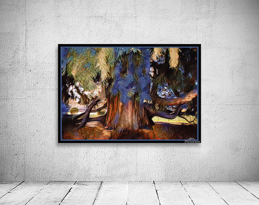 SEQUOIA TREE VICTORIA B.C Wall Preview