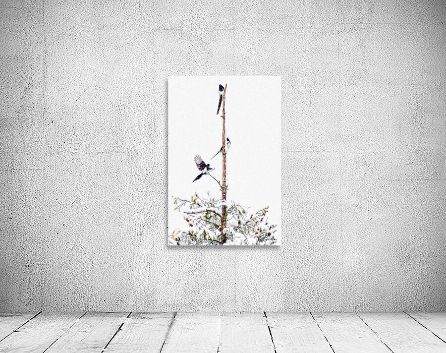 MAGPIE CONVENTION 1 ARRIVING Wall Preview