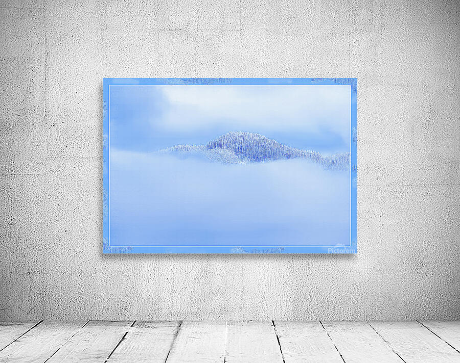 BIRTH OF A FOREST Wall Preview