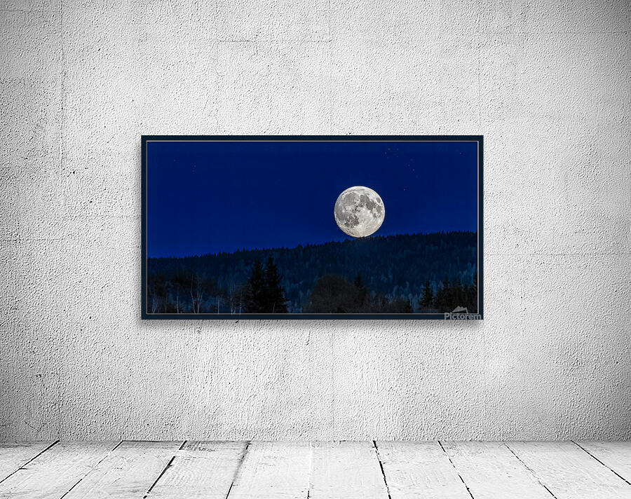 FULL MOON RESTING Wall Preview