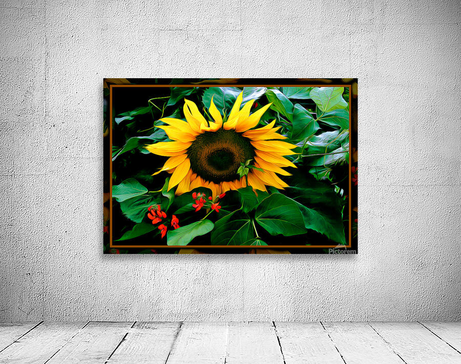 SUN FLOWER SCARLET RUNNERS Wall Preview