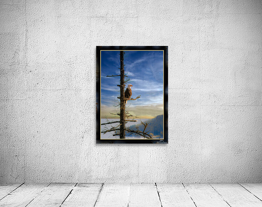 BALD EAGLE ON COPPER ISLAND Wall Preview