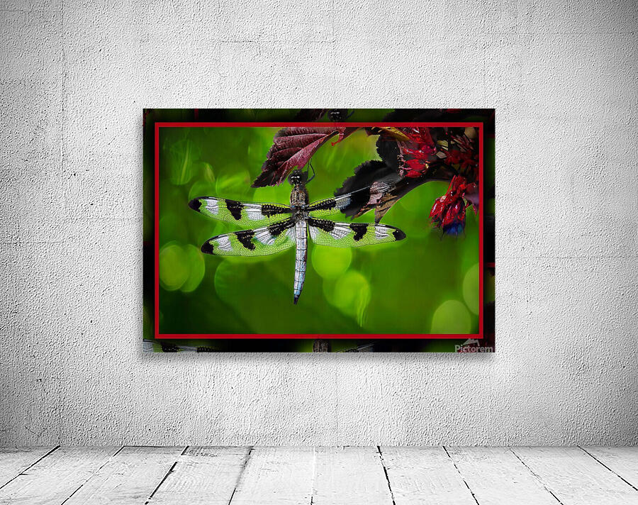 BLACK WHITE DRAGONFLY Wall Preview