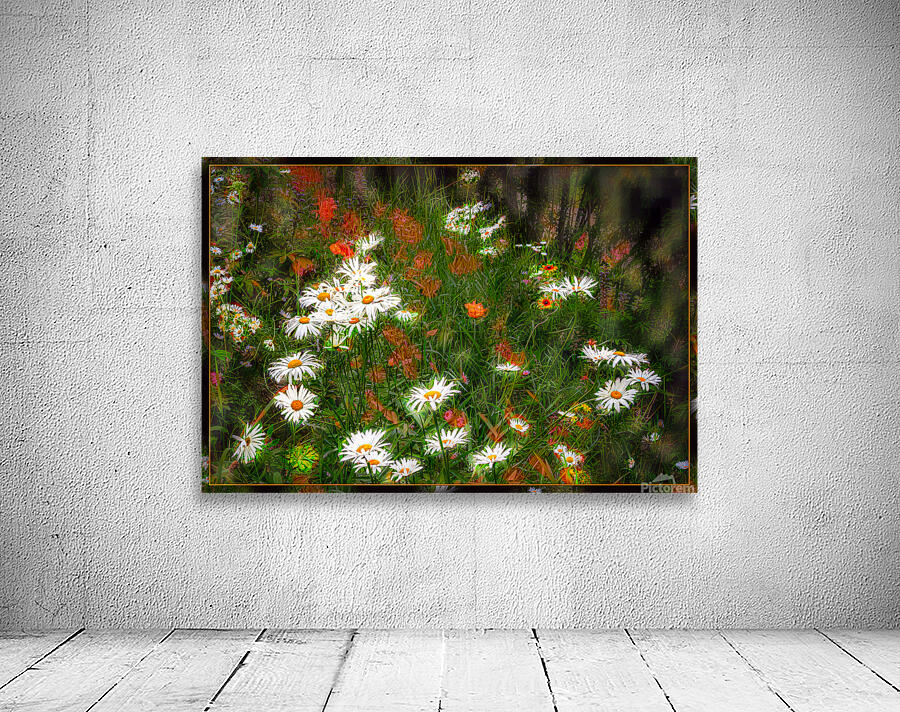 Daisy Sun Catchers Wall Preview