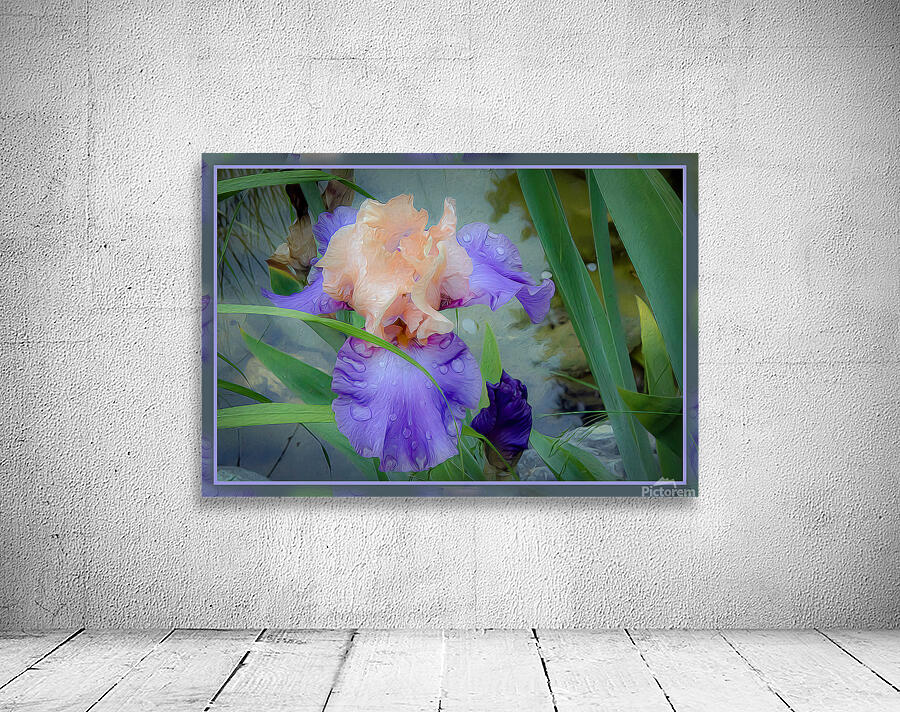 LIGHT PURPLE ORANGE IRIS Wall Preview
