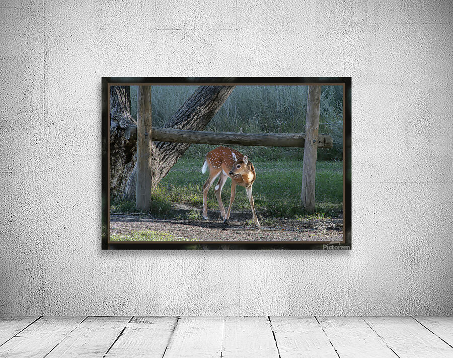 FAWN WHERE S MOM Wall Preview