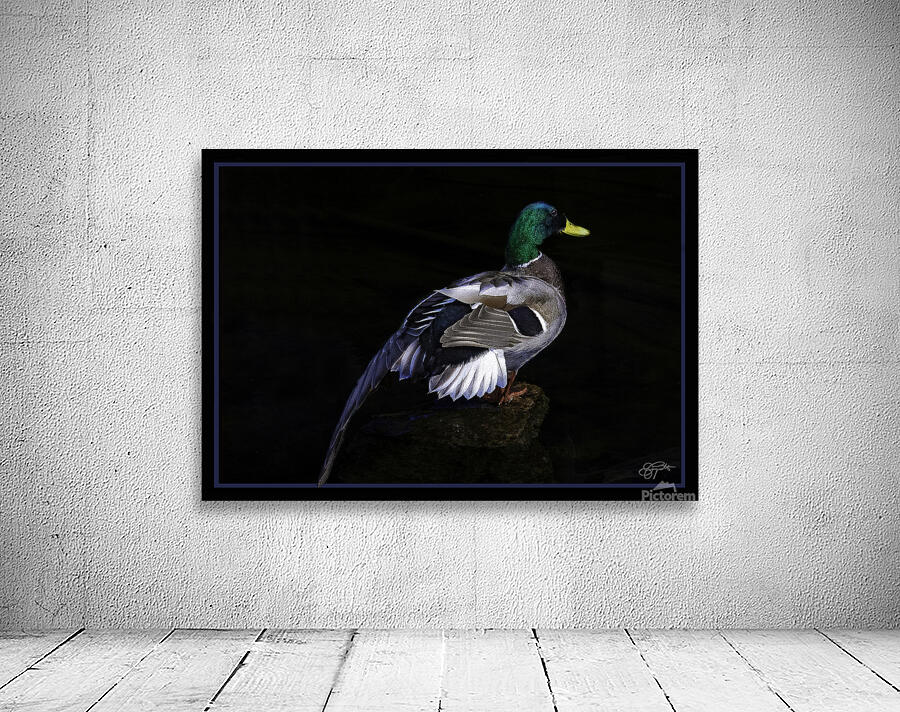 DRAKE MY FRIEND Wall Preview