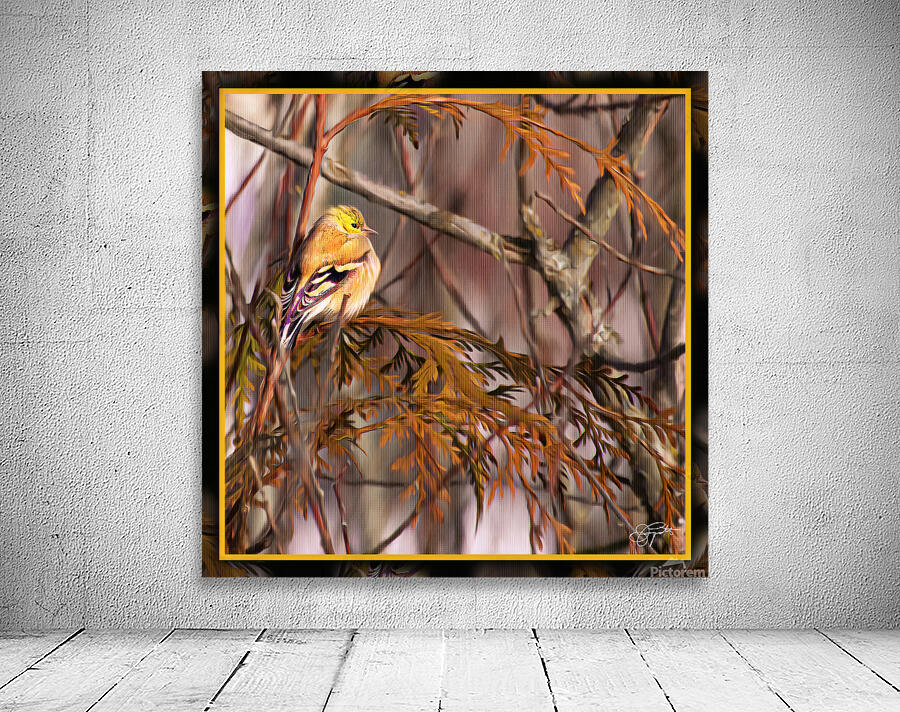 GOLD FINCH CONTEMPLATION Wall Preview