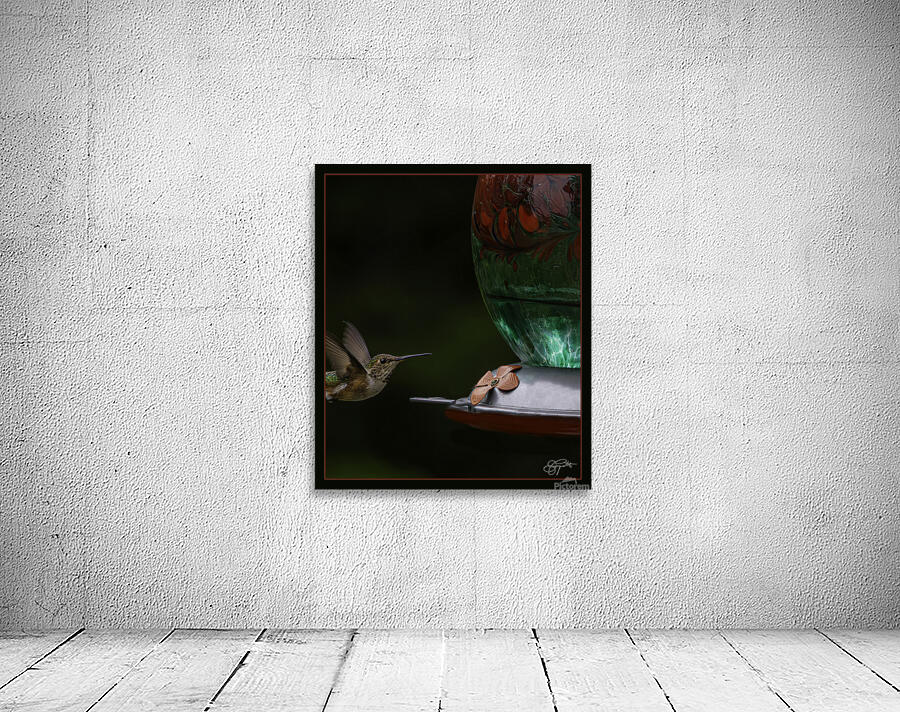 HUMMINGBIRD FLYING TO FEEDER Wall Preview