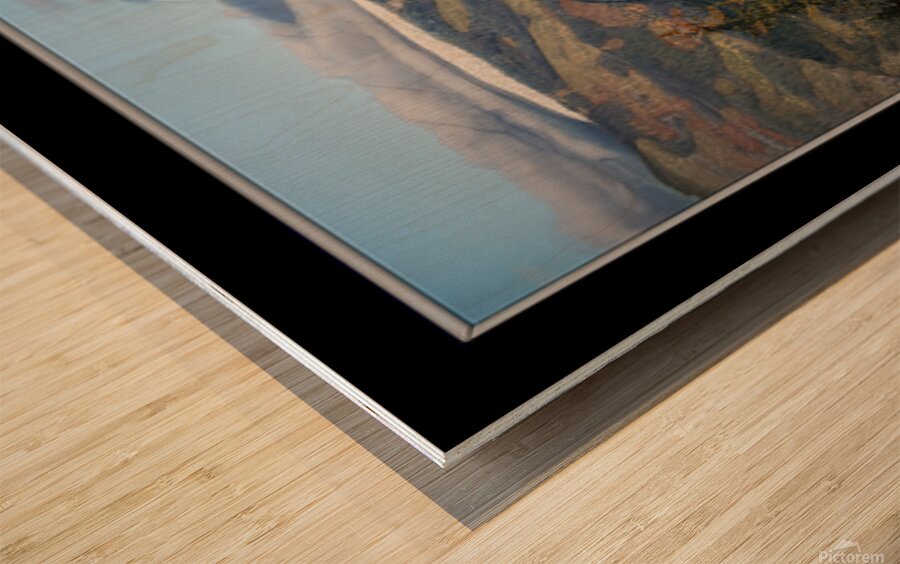 SIGNS OF WINTER ARRIVING Wood print