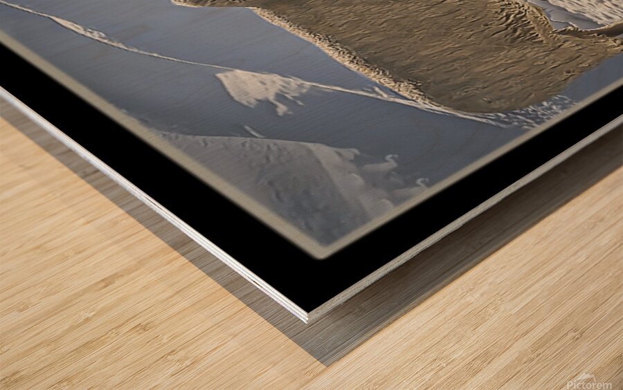 BILATERAL HERDING Wood print