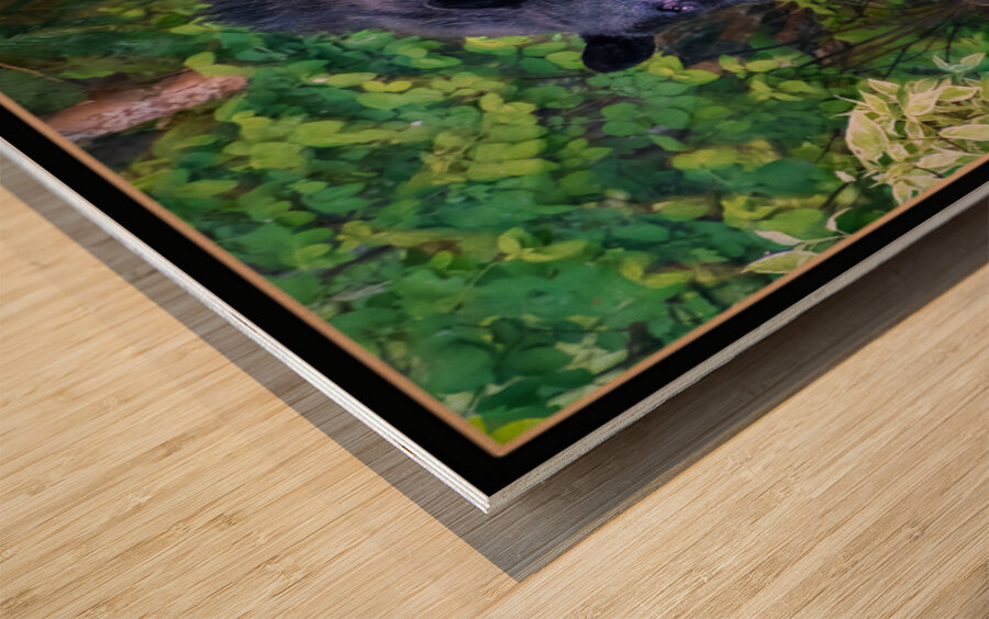 WINTER SLEEP ALL OVER Wood print