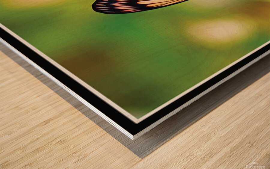 BUTTERFLY TIPTOE Wood print