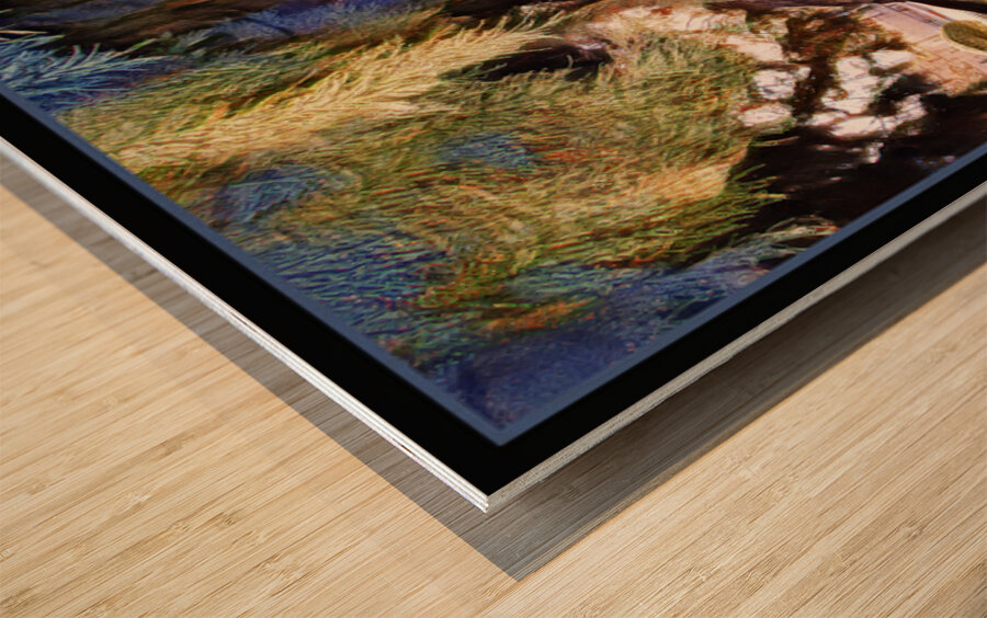 SEQUOIA TREE VICTORIA B.C Wood print