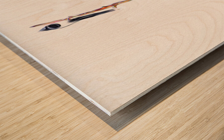 MAGPIE CONVENTION 2 IN MEETING Wood print