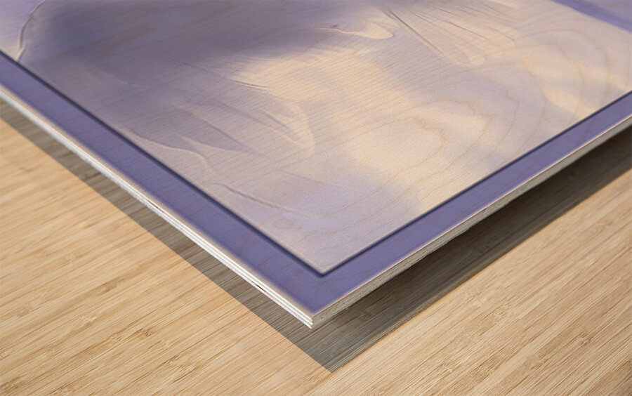 JONATHAN LIVINGSTON SEAGULL Wood print