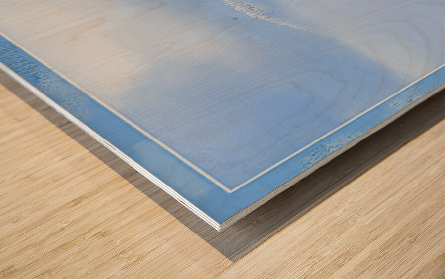 BIRTH OF A FOREST Wood print