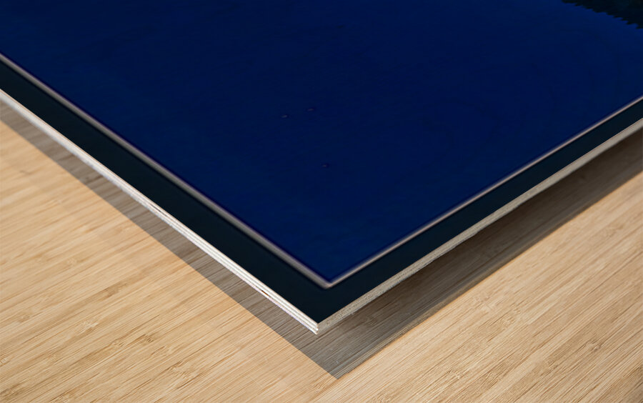 FULL MOON RESTING Wood print