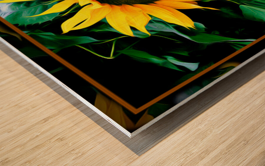 SUN FLOWER SCARLET RUNNERS Wood print