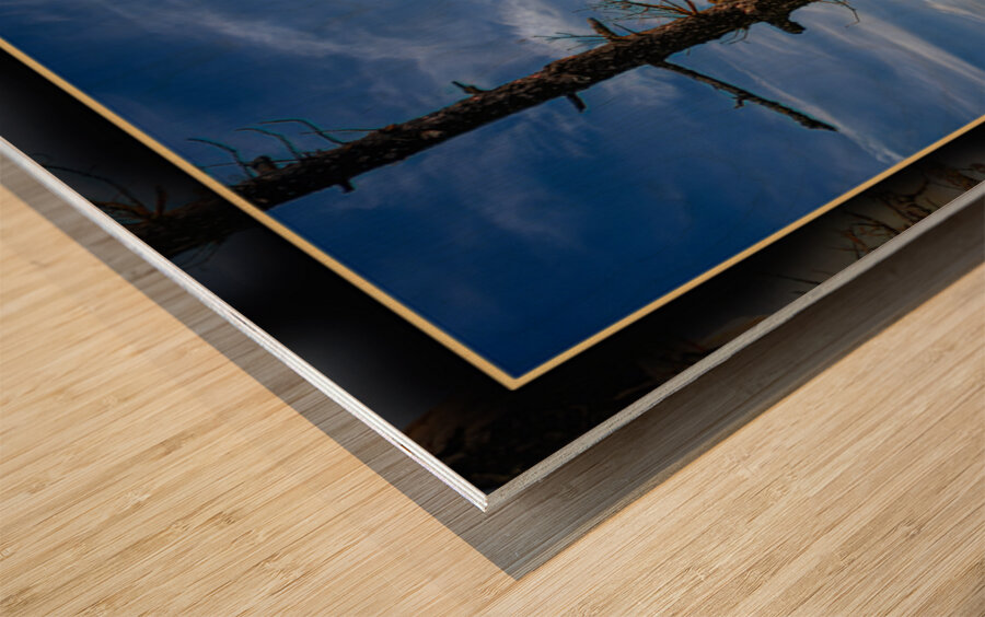 BALD EAGLE ON COPPER ISLAND Wood print