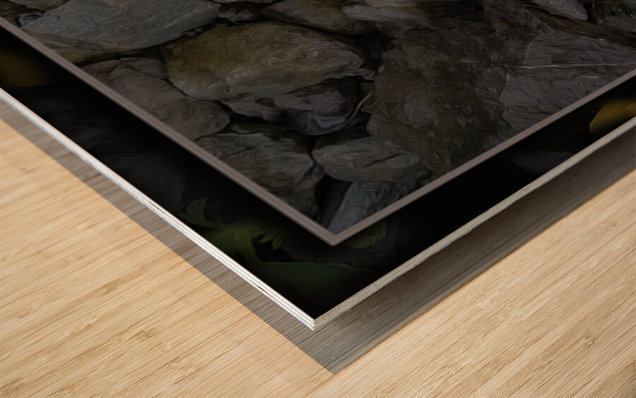 SOFT STRONG POPS UP TOO Wood print