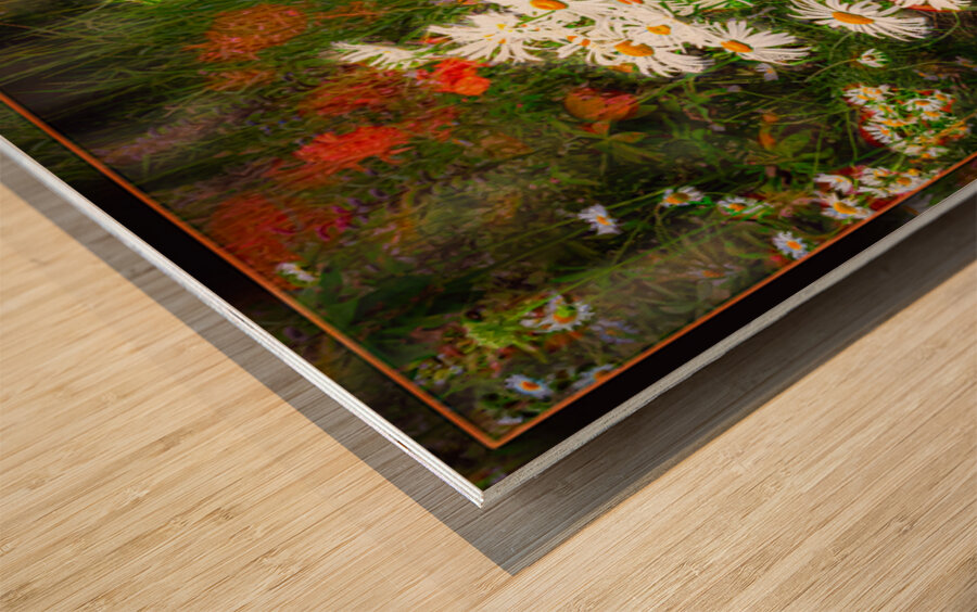 Daisy Sun Catchers Wood print