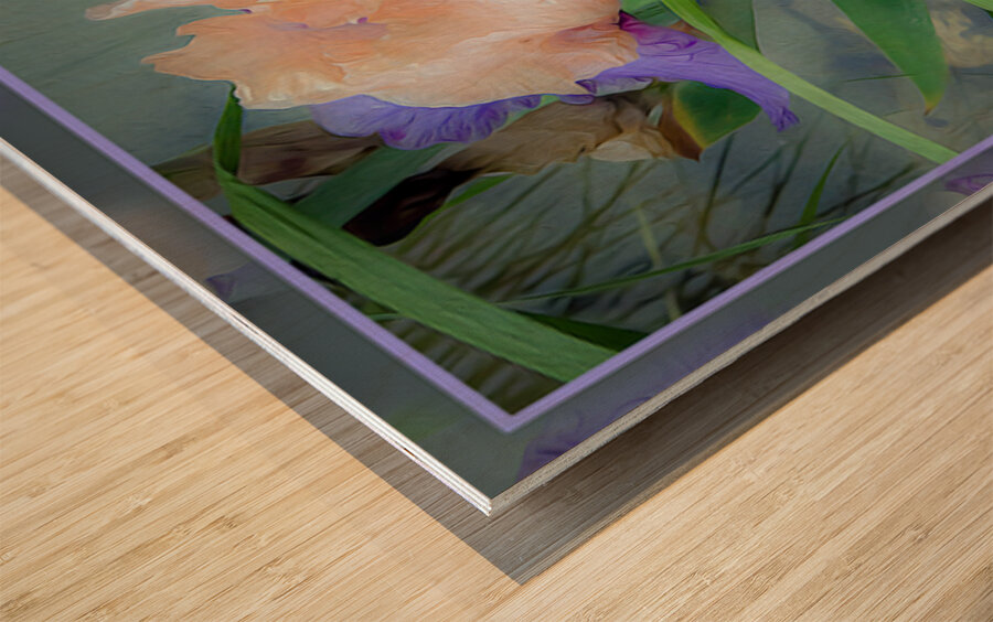 LIGHT PURPLE ORANGE IRIS Wood print