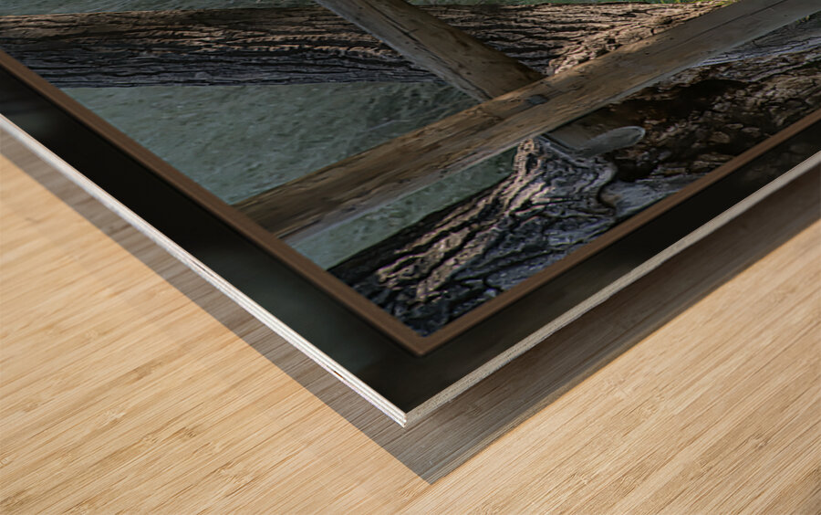 FAWN WHERE S MOM Wood print