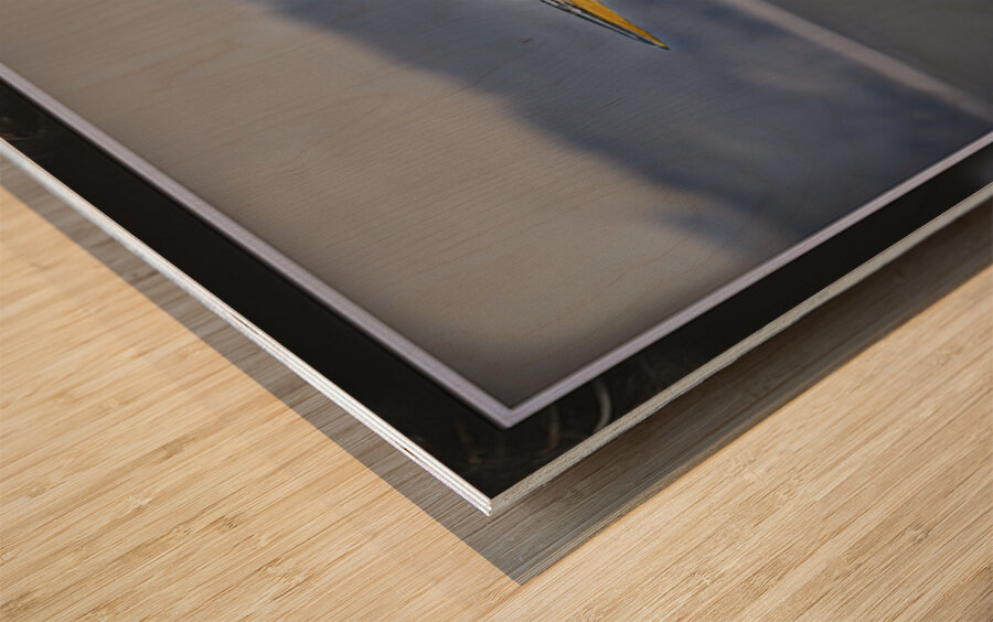 BLUE HERON LIFTOFF Wood print