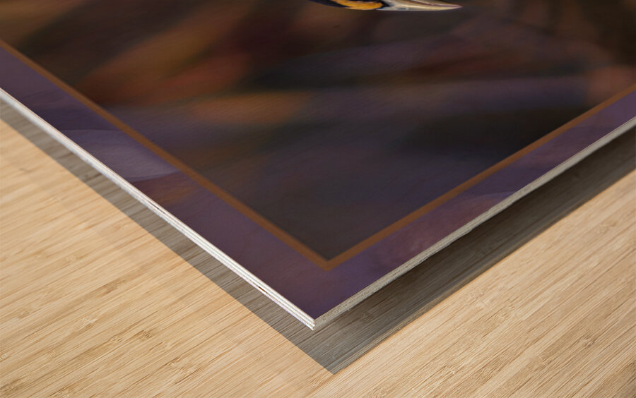 EVENING GROSBEAK PONDERING Wood print