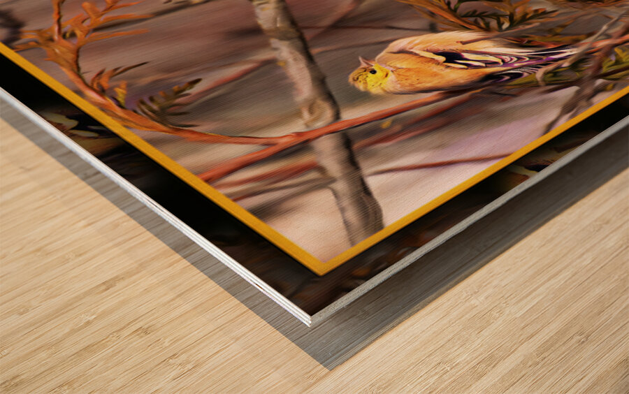 GOLD FINCH CONTEMPLATION Wood print