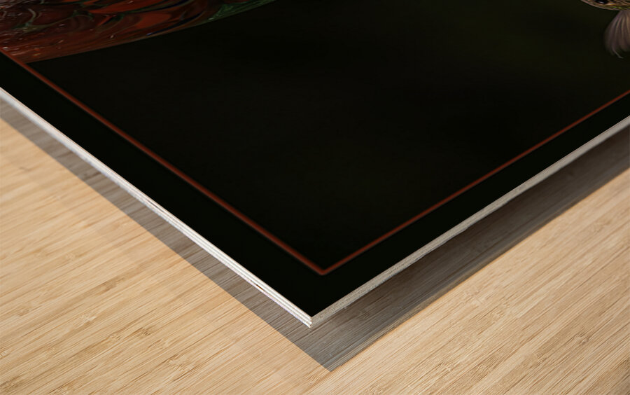 HUMMINGBIRD FLYING TO FEEDER Wood print