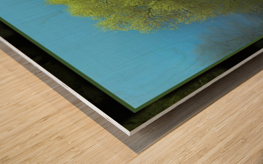 Cottonwood Poplar Wood print