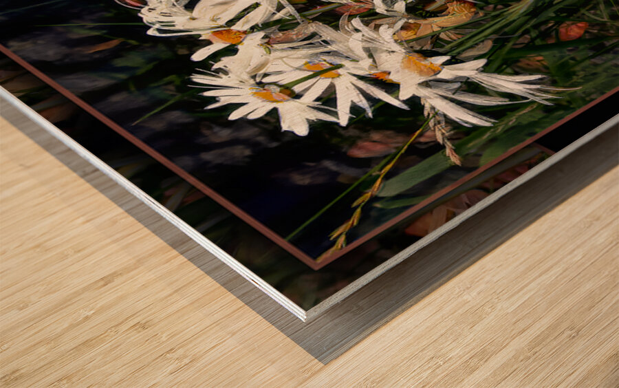 DAISIES DANCING YEAR S END RITUAL Wood print