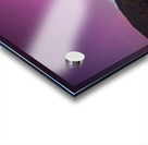 The Arrival Acrylic print