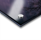 Zeus’s Thunderbolt Acrylic print