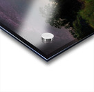 DNA of Earth and Sky Acrylic print