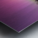 Solar Storm Aurora Metal print