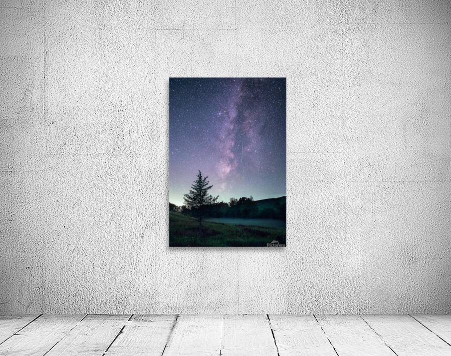 Perseid Before Dawn Wall Preview