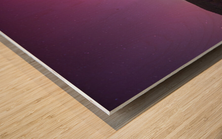 The Arrival Wood print