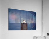 Seagull Acrylic Print