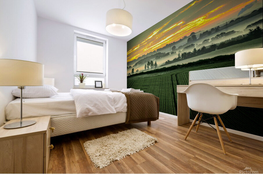 Sunrise over cornfield  Mural print