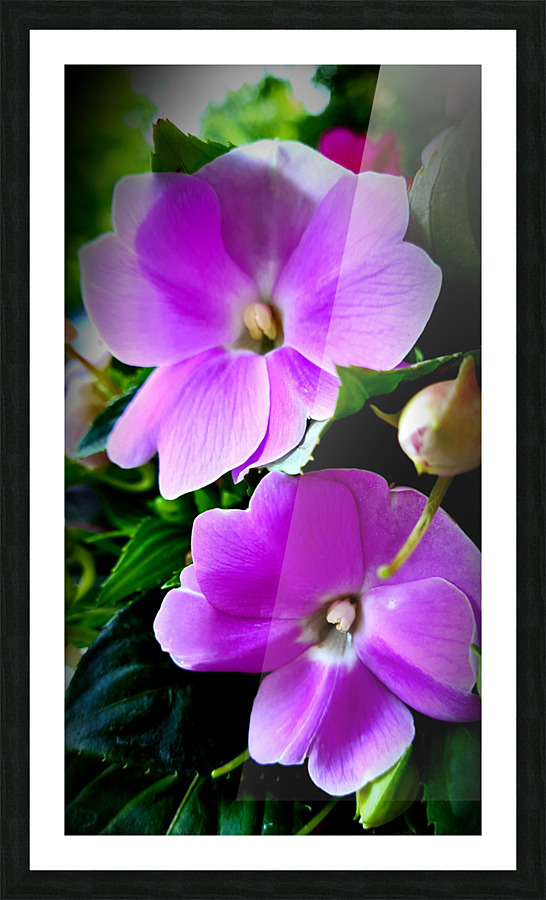 Flower Picture Frame print
