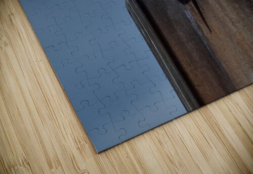 Seagull  Pete taylor puzzle