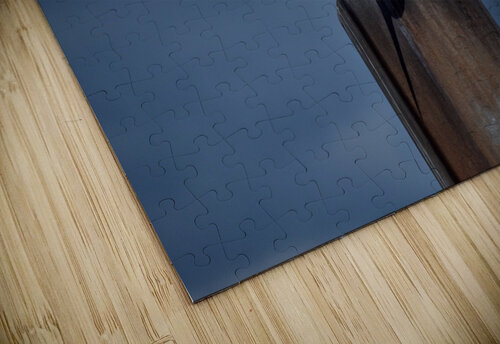 Seagull Pete taylor puzzle