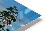 Landscape  HD Metal print