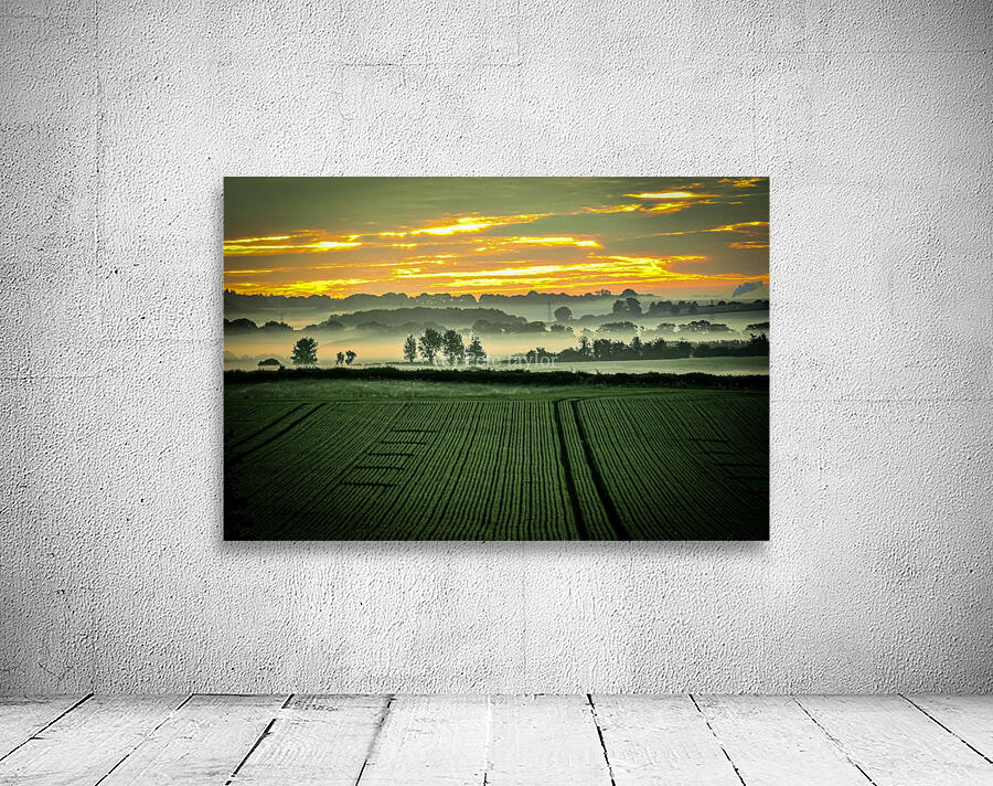 Sunrise over cornfield  Wall Preview
