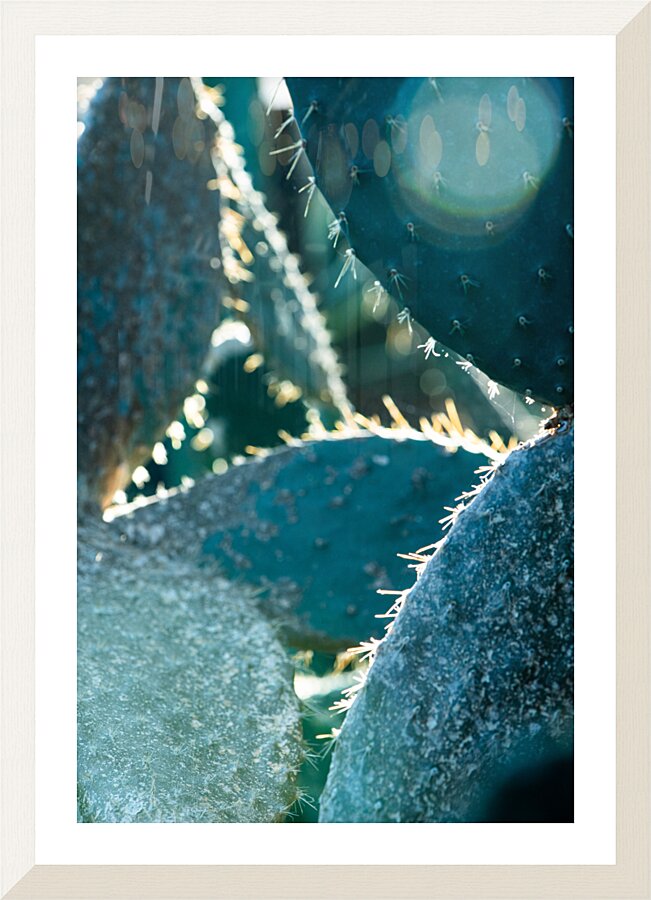 Diamond Picture Frame print