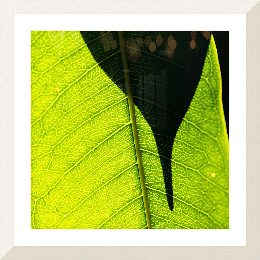 Blending Picture Frame print