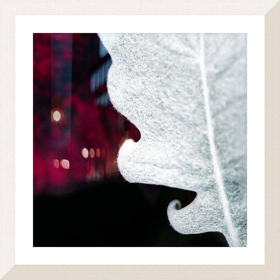 Smoke Picture Frame print